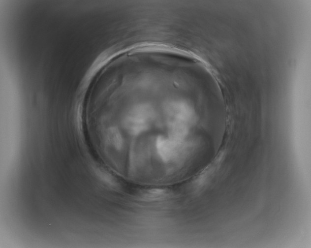 X0000113050151200909031339