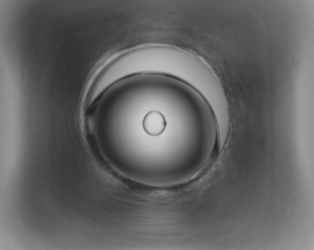 X0000113050152200909031339