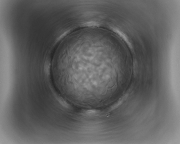 X0000113050153200909031339