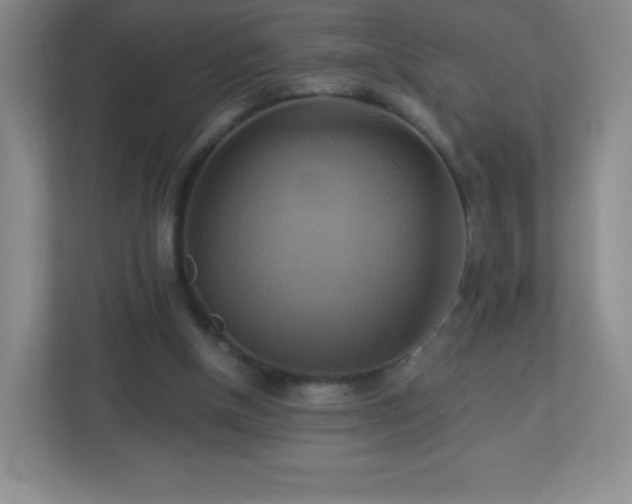 X0000113050154200909031339