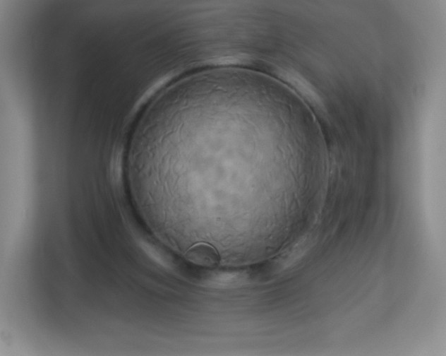 X0000113050155200909031339