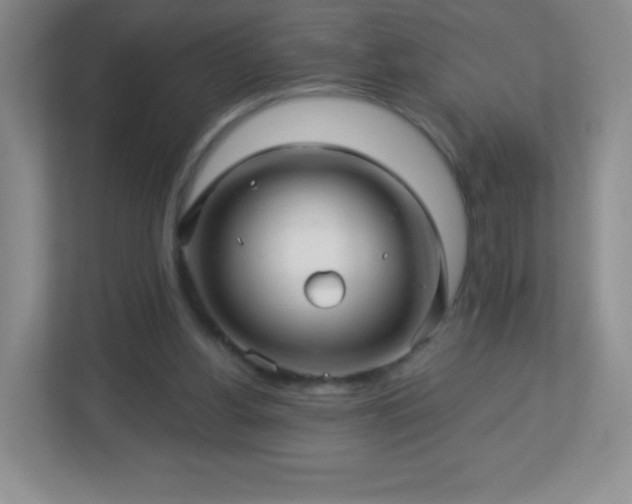 X0000113050156200909031339