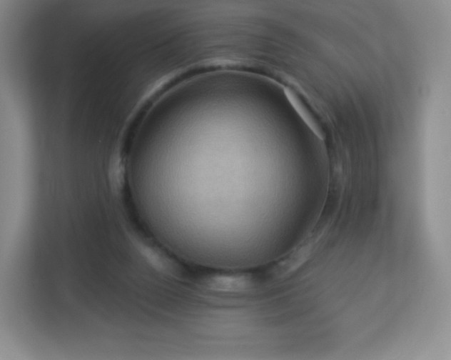 X0000113050160200909031339