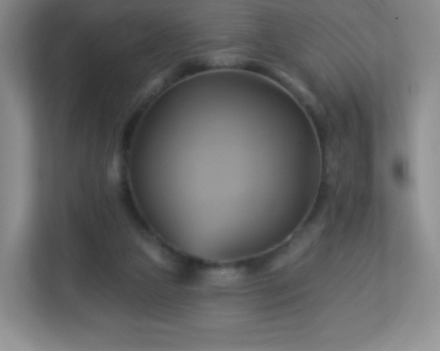 X0000113050161200909031339