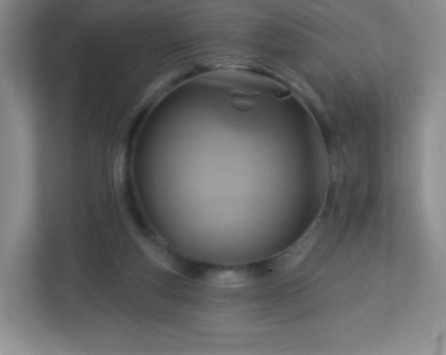 X0000113050163200909031339