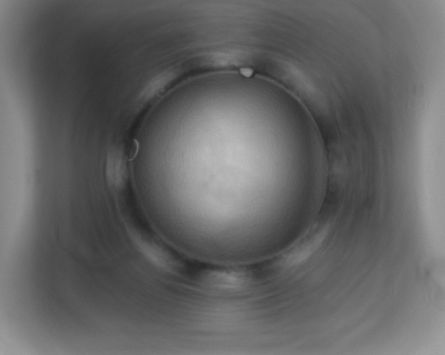 X0000113050164200909031339