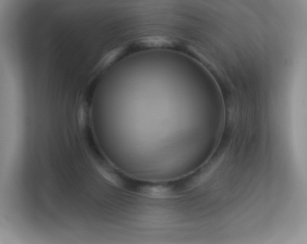 X0000113050165200909031339