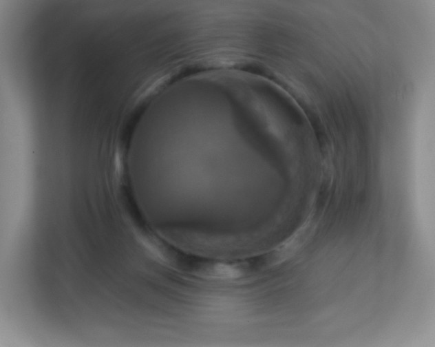 X0000113050166200909031339