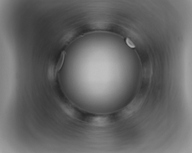 X0000113050168200909031339