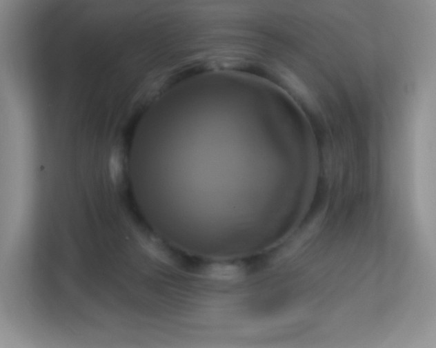 X0000113050169200909031339