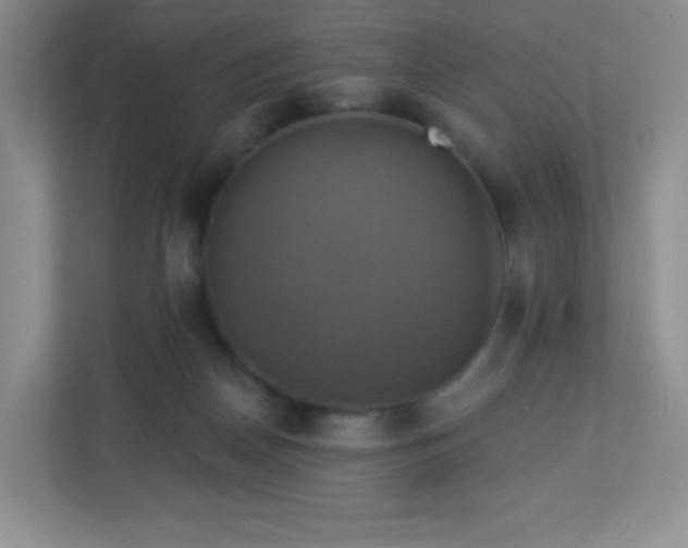 X0000113050170200909031339