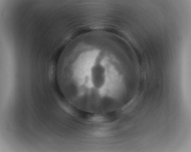 X0000113050171200909031339