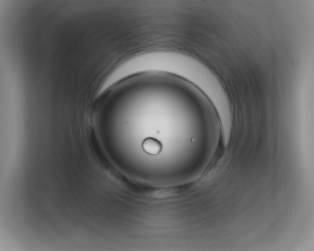 X0000113050172200909031339