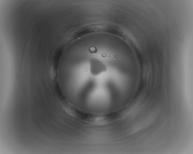 X0000113050173200909031339