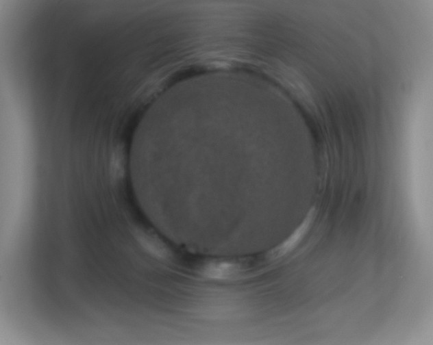 X0000113050174200909031339