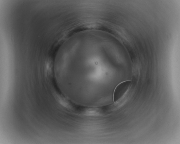 X0000113050175200909031339