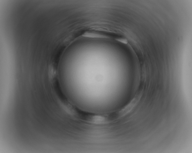 X0000113050176200909031339