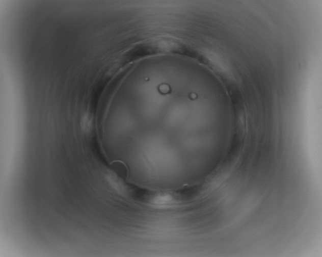 X0000113050177200909031339