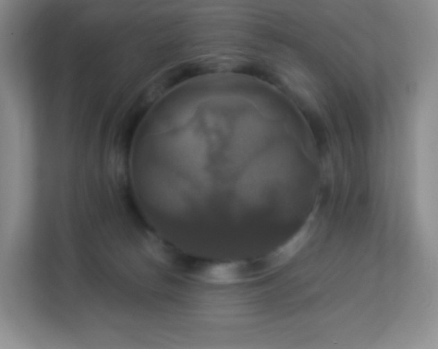 X0000113050178200909031339