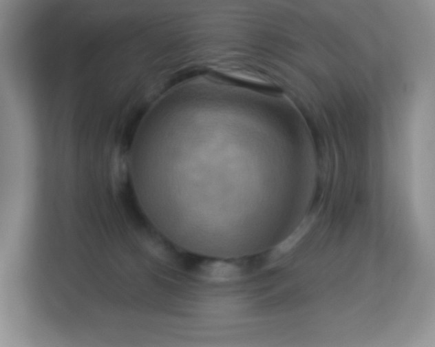 X0000113050180200909031339