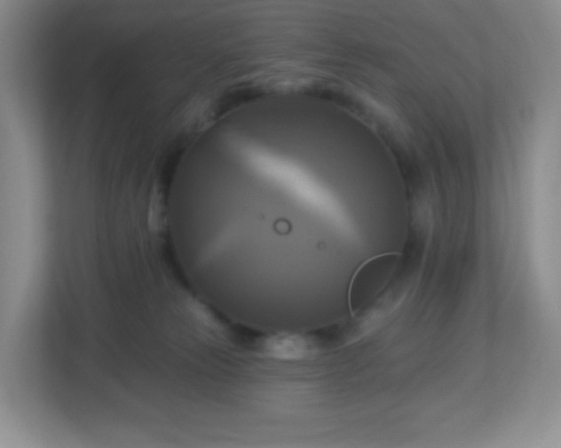 X0000113050181200909031339