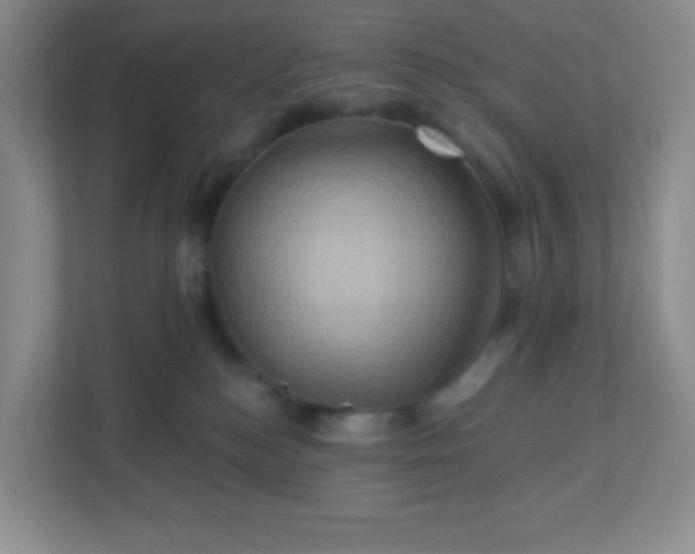 X0000113050184200909031339