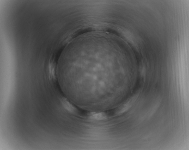 X0000113050185200909031339