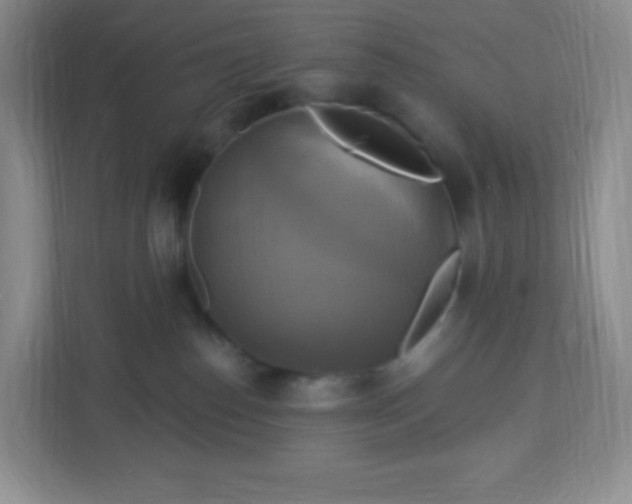 X0000113050186200909031339