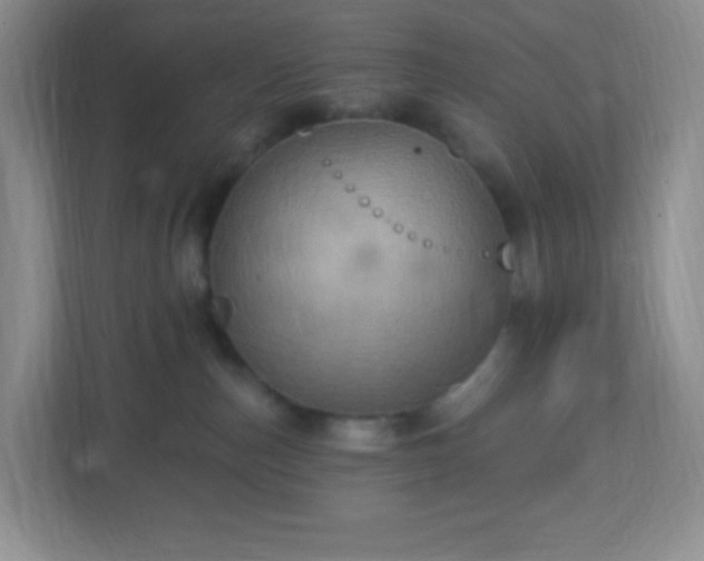 X0000113050187200909031339