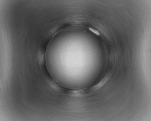 X0000113050188200909031339