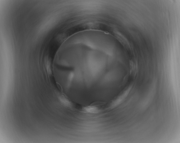 X0000113050189200909031339