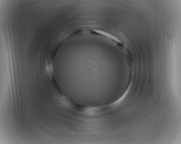 X0000113050190200909031339