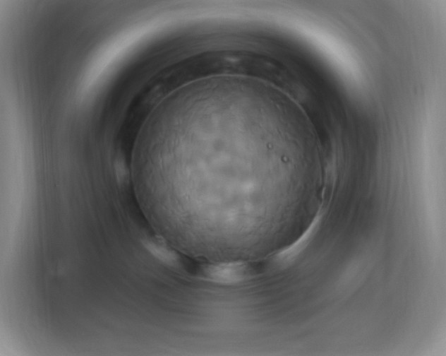 X0000113050191200909031339