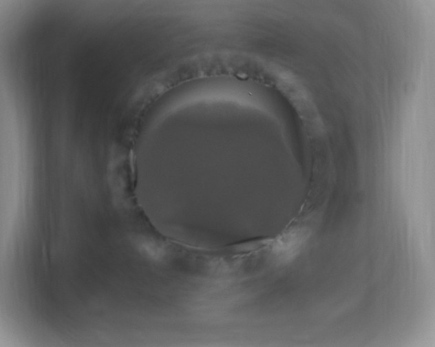 X0000113050192200909031339