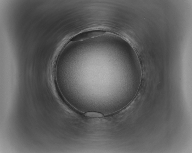 X0000113050193200909031338