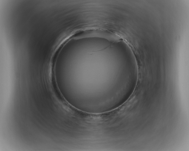 X0000113050194200909031338