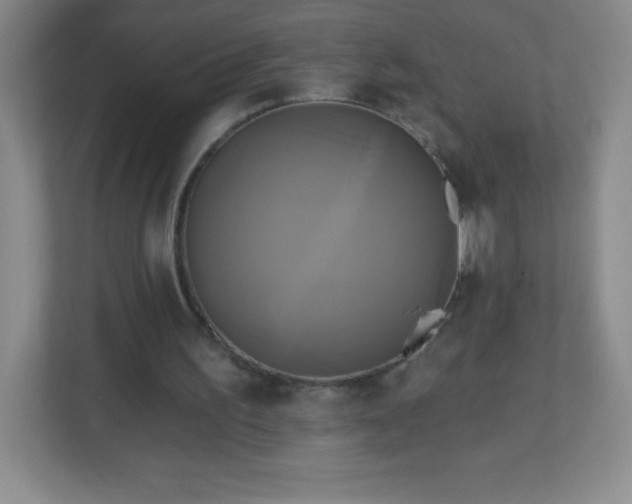 X0000113050195200909031338