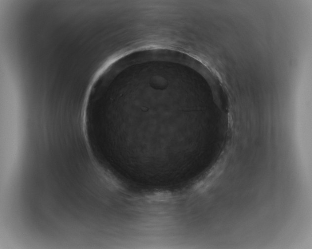 X0000113050196200909031338