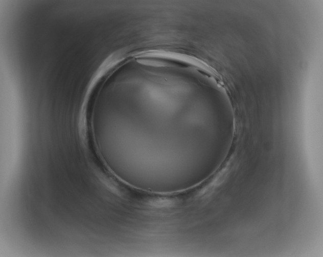 X0000113050198200909031338