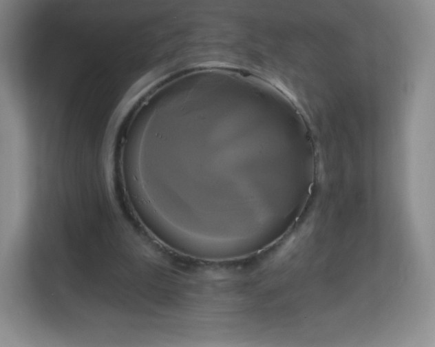 X0000113050199200909031338