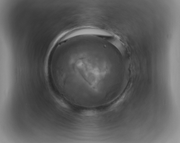 X0000113050200200909031338