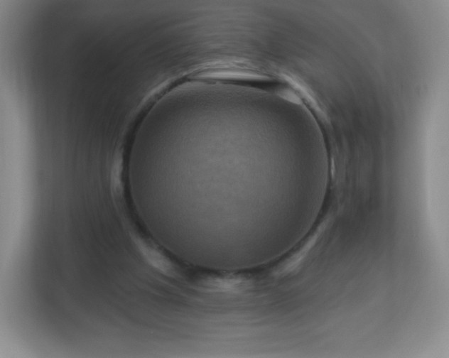 X0000113050201200909031338