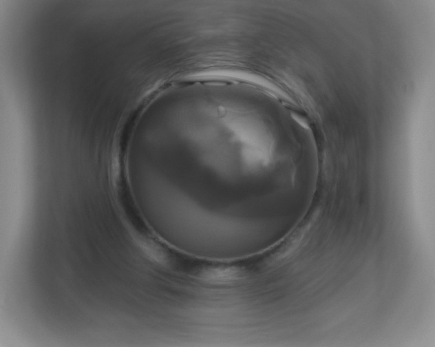 X0000113050202200909031338