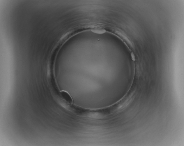 X0000113050203200909031338