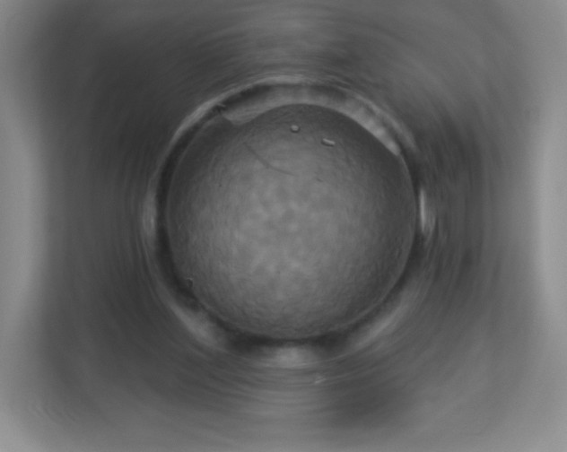 X0000113050204200909031338