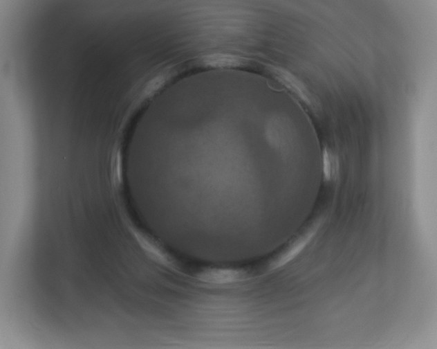 X0000113050205200909031338