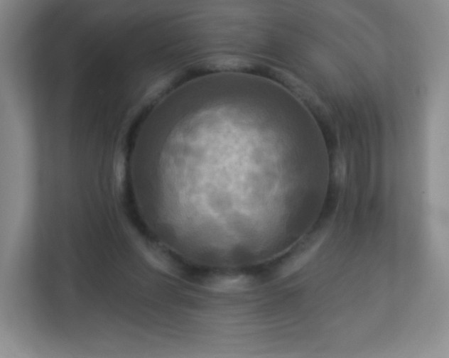 X0000113050206200909031338