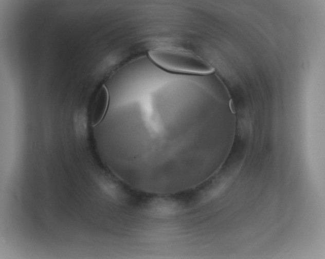 X0000113050207200909031338