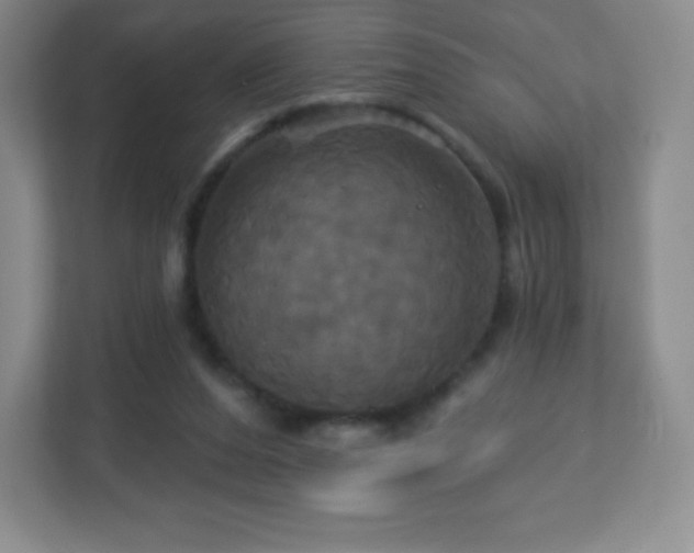 X0000113050208200909031338