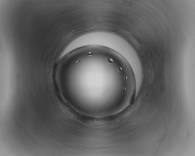 X0000113050209200909031338